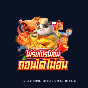 international express shopee tracking — ภาพตัวอย่าง
