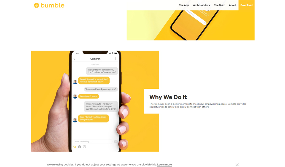 Bumble Review - Legit nebo podvod?