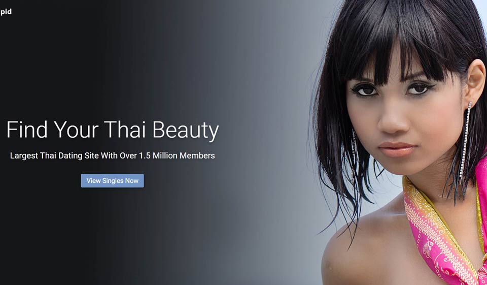 ThaiCupid Website Design
