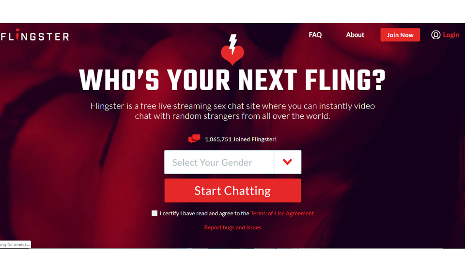 Flingster Review 2024 – Legit Hookup Chatroom or Scam?