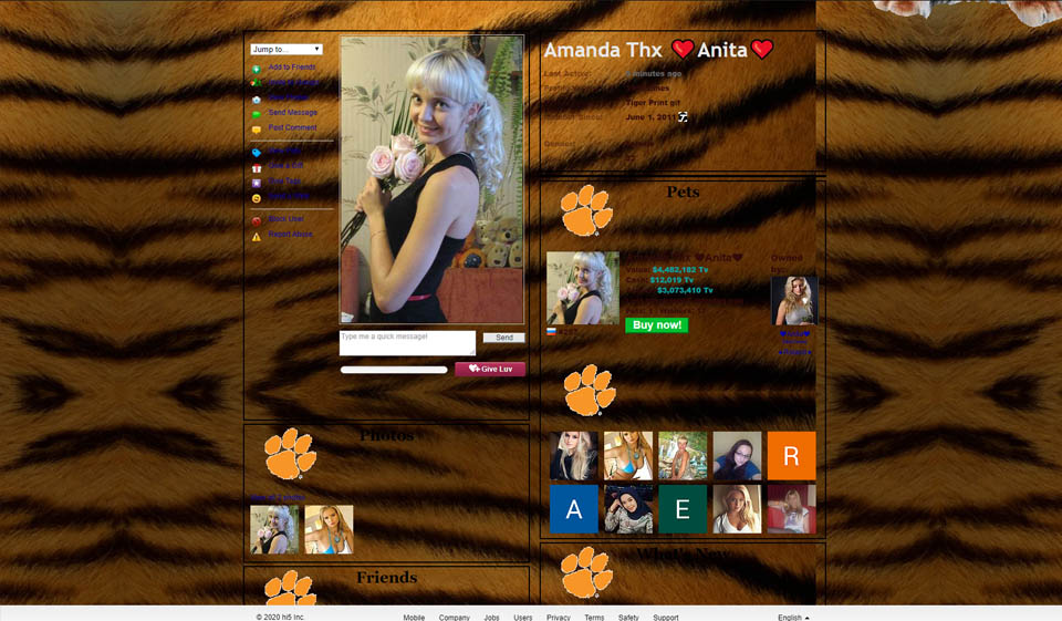 Proces registrace Hi5 a uživatelský profil
