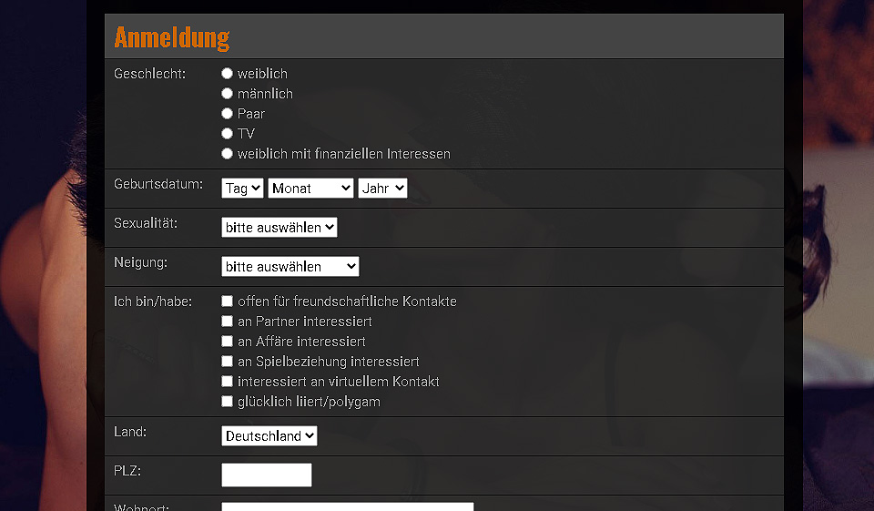 Bdsm28 im Test