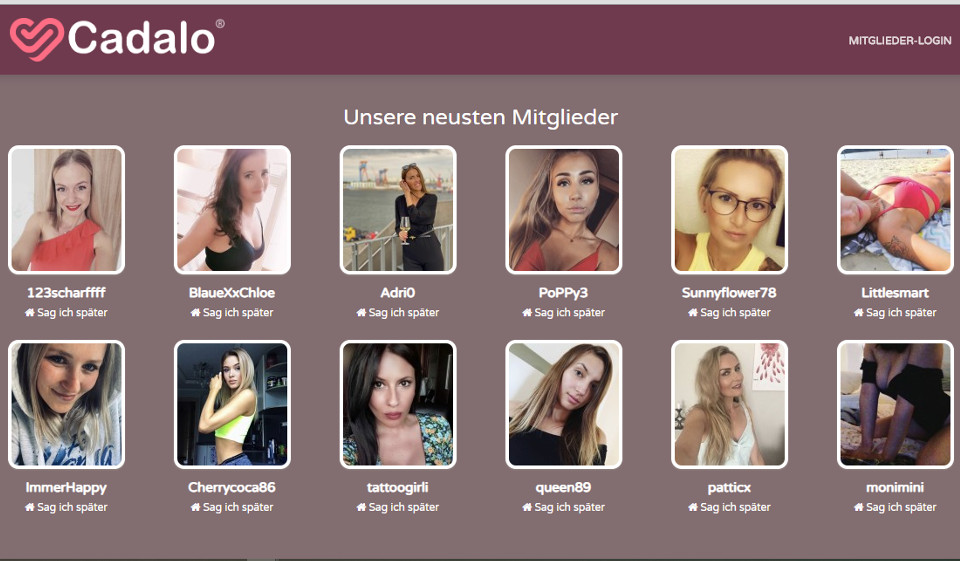 Cadalo im Test
