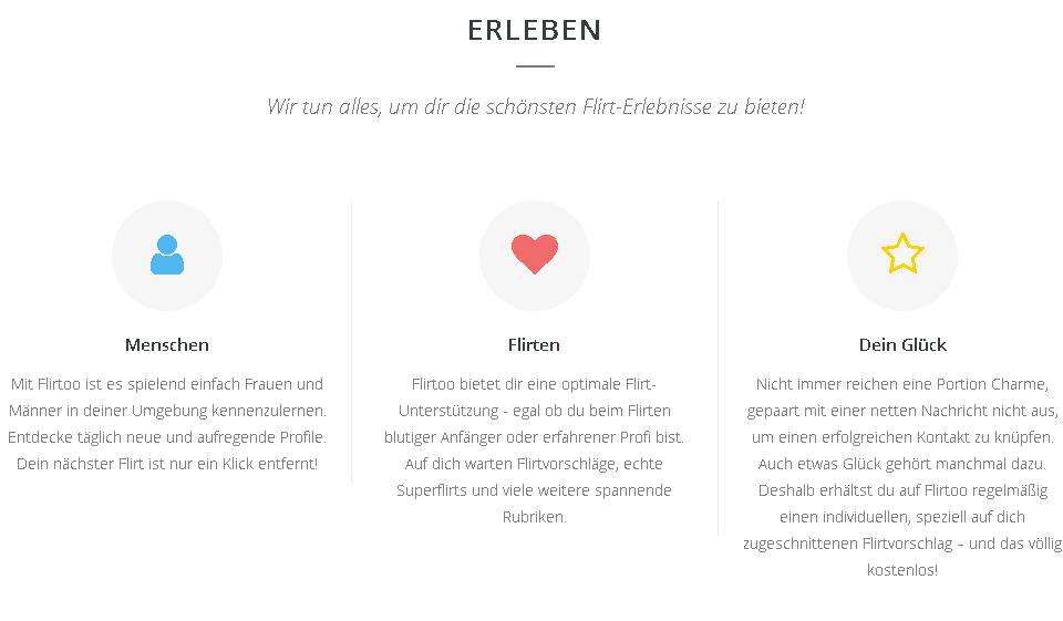 Flirtoo im Test