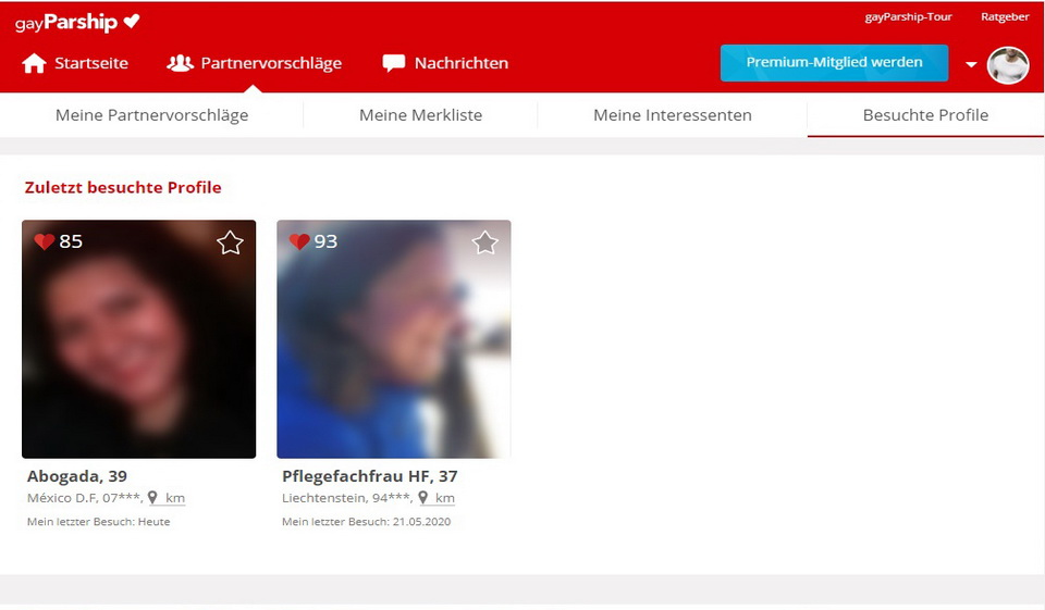 GayParship im Test