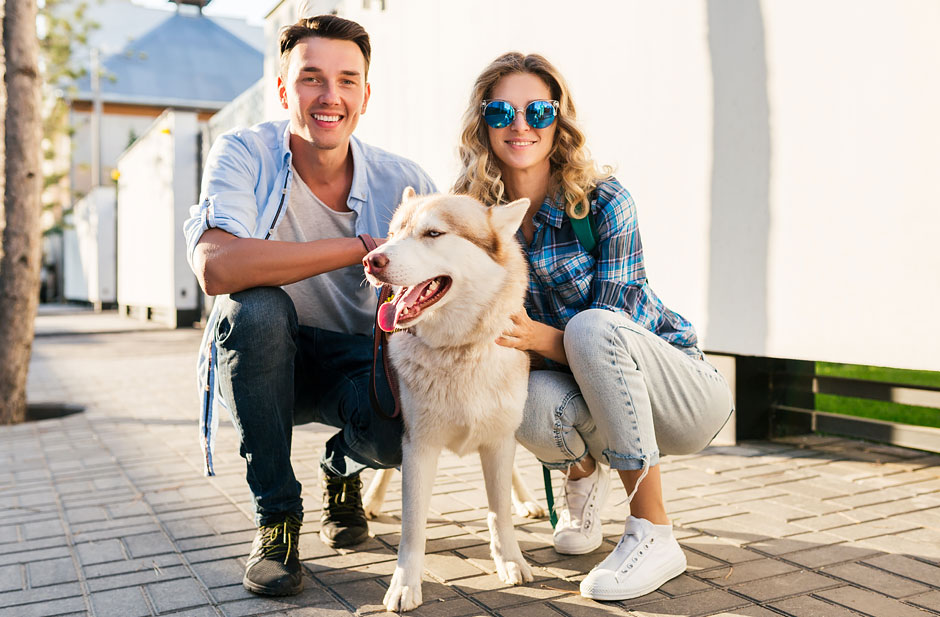 Hund-Dating Seiten