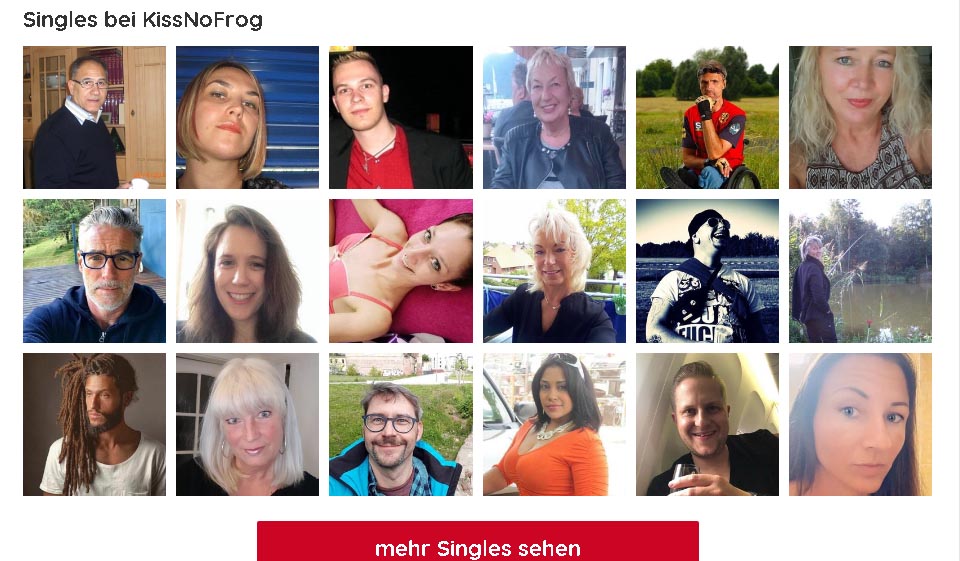 KissNoFrog im Test