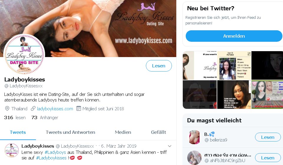 Ladyboykisses  im Test