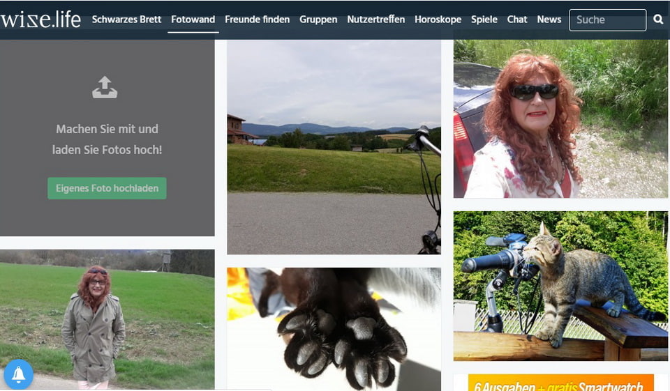 Wize.Life im Test