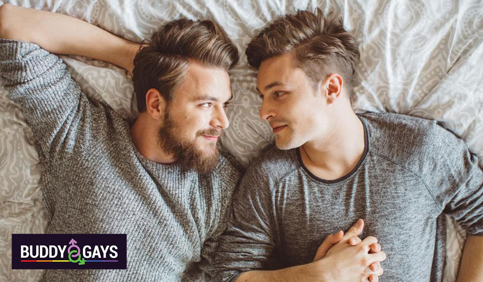 Recenzja BuddyGays